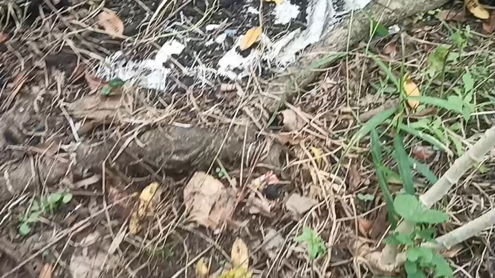 jadi hari ini gw lagi gabut ya gays ada part 2 nya ya part nya sampai 1/3 aja ya 🤭