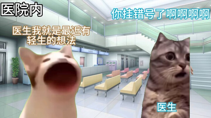 [Cat Meme] A Story of Going from Cheerful to Moderately Depressed and Anxious, Then Gradually Gettin