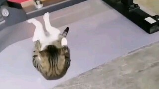 Mission imposible training