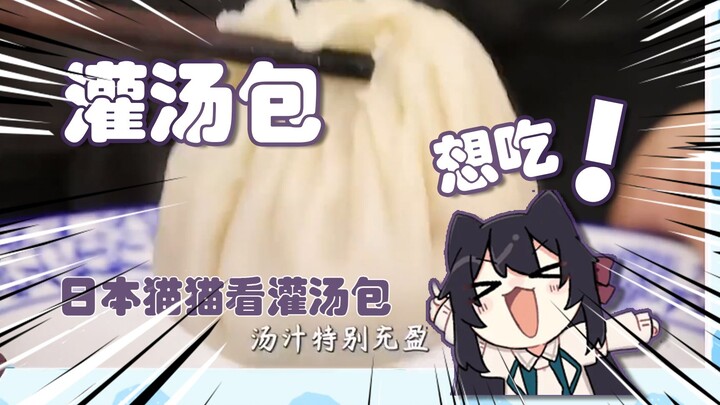 【Nekone Ring】Japanese Cats Watch: “Now This Is a Proper Soup Dumpling”