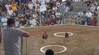 WPC EARLY BIRD ELIMS WDW . 1st Fight