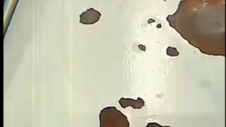 画坤点睛，一撇一捺间就看到了我家哥哥”