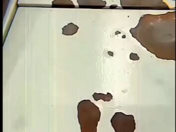 画坤点睛，一撇一捺间就看到了我家哥哥”