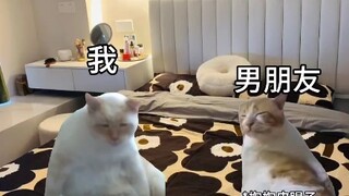 นี่ใช่ภาพที่คุณกับแฟนอยู่บ้านหรือเปล่า