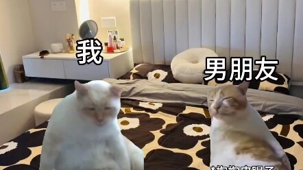هل هذه هي الطريقة التي تكون أنت وصديقك عليها عندما تكونان في المنزل؟