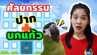 นกปากงอกต้องหาคุณหมอ เอาส่วนที่เกินออกไป