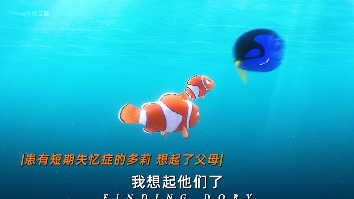 “Dù có quên đi lần nữa, tôi vẫn sẽ tìm thấy các bạn!”