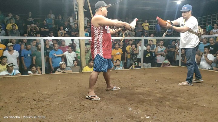 poyloyTari tutorial #9 win