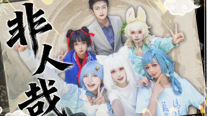 Tập hợp nào! Đời như tiên bắt đầu rồi đây! 【OP Phi Nhân Tai】