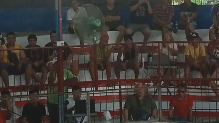 talo first fight 2 hits ulotan