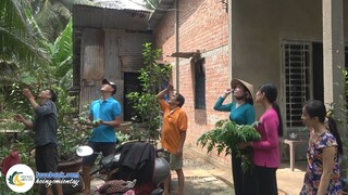 Về Quê Nhà Anh Lực Thưởng Thức Món "GỎI LÁ SẦU ĐÂU" | Hội Ngộ Miền Tây - Tập 547