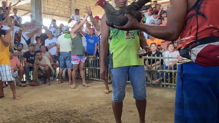 Fiesta serye 3rd fight Win binabae bulik