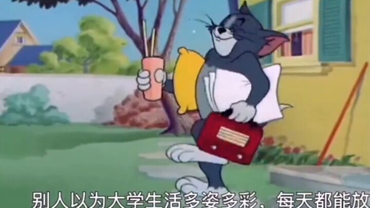 College life in the eyes of parents vs. in own eyes