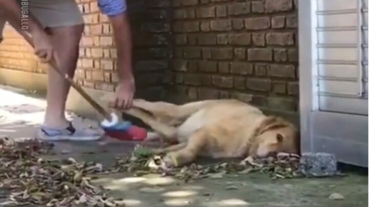 The way you look in your mother's eyes