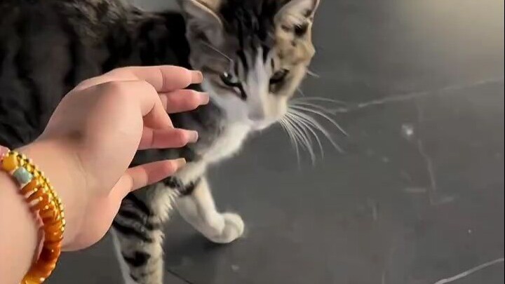 If you're reluctant to let go, then don't die.