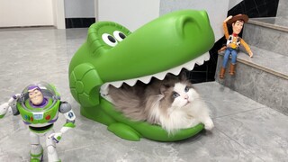 Hadiah Hari Anak 1 Juni yang disiapkan Kakek untuk para kucing