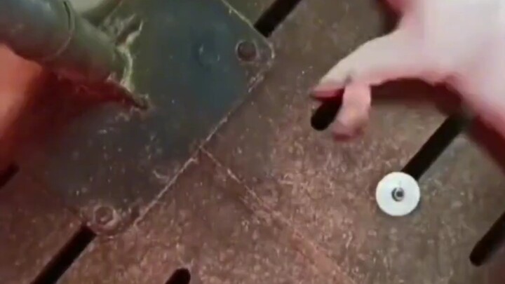 Ngủ như heo chết, có phải đang nói về bạn không? 😂😂😂