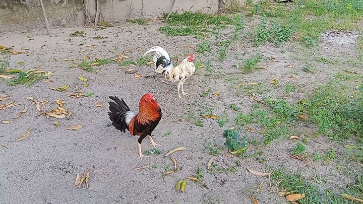 mahirap talaga maunahan ka✌️