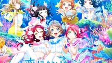 恋になりたいAQUARIUM