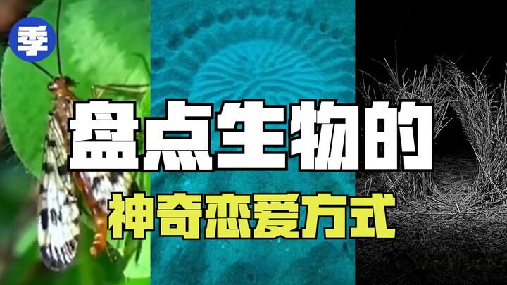 [Hot Item Unboxing] Do Scorpionflies Dress Up in Women’s Clothes to Trick Mates into Giving Them Gif