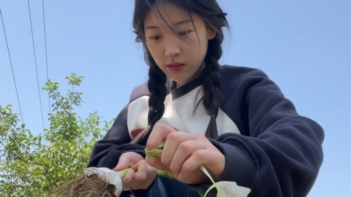 统计一下多少人不爱吃香椿.