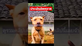 ^ดูรวมคลิปชุดนี้เต็มกดลิงค์ด้านบนเลยจ้า^ ประเมินสถานการณ์ผิดพลาด