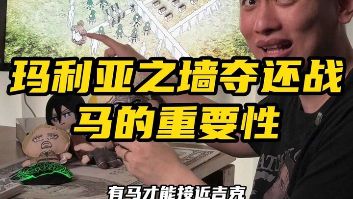 玛利亚之墙夺还战中马匹的重要性