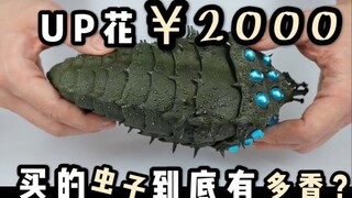 UP花2000块买的千值练“王虫”到底有多香？究极细节控的天堂，2020年宫崎骏粉必入单品！【霖Sir开箱】