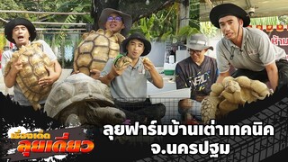 เรื่องเด็ดลุยเดี่ยว | ลุยฟาร์มบ้านเต่าเทคนิค จ.นครปฐม | ข่าวเที่ยงอมรินทร์ | 8 ธ.ค. 67