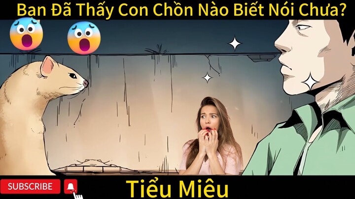 Bạn đã gặp con chồn biết nói chưa - Hoạt hình ngắn - Tiểu Miêu Amimation