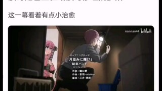 波奇她爸在给波奇修建庇护所