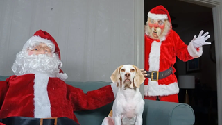 Dogs vs Good/Bad Santa Prank สุนัขตลก Maymo Penny & Potpie