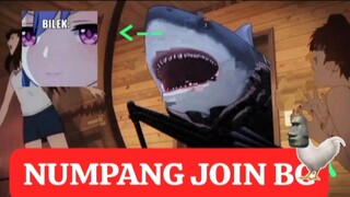 Anomali ikan berkaki Panjang 🗿