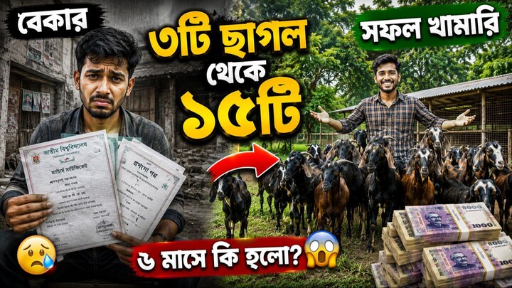 চাকরি না পেয়ে ৩টি ছাগল দিয়ে শুরু...বেকার থেকে ১৫টি ছাগলের মালিক | রাকিবের কান্না থেকে সফলতার গল্প