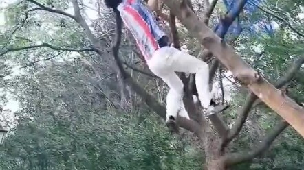 You’re from Flower Fruit Mountain, aren’t you?