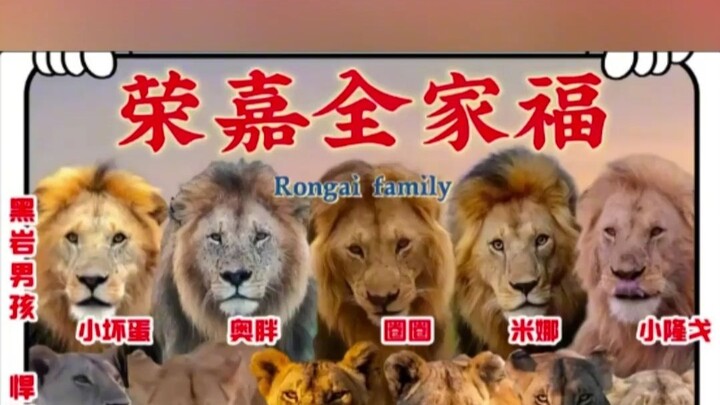 First time I heard there’s a “Lion Fan” community