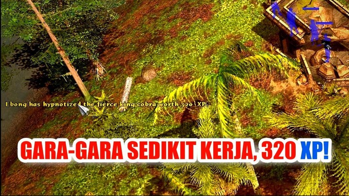 🏆 KAMI DAPAT 320 XP, GARA-GARA SEDIKIT KERJA! APA ITU?