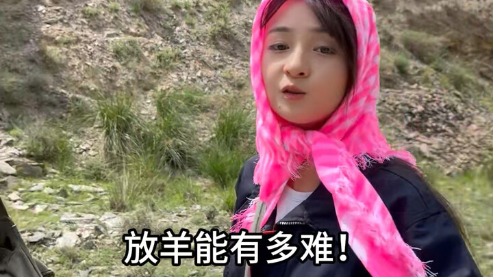ترعى الغنم ليس صعبًا أصلًا، لكنني أسرع لأن في البيت أمرًا عاجلًا...