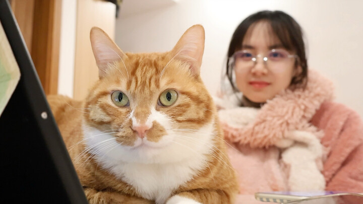 Bagaimana hasil foto pakai kamera hari ini?