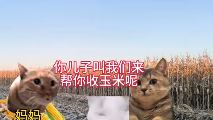 The people’s police serve the people.