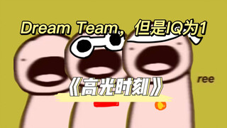 【不用烤但是还是烤了｜Dream Team】Dream Team，但是IQ为1