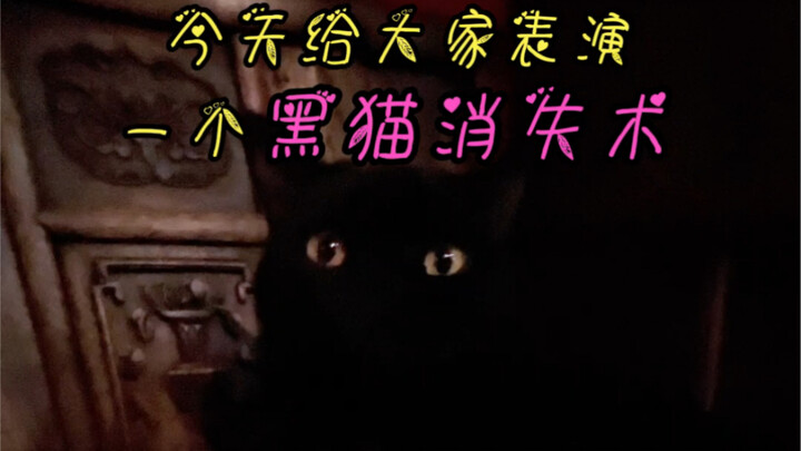 Today I’m going to perform a black cat disappearing act for you all…