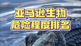 Amazon Animal Danger Ranking!