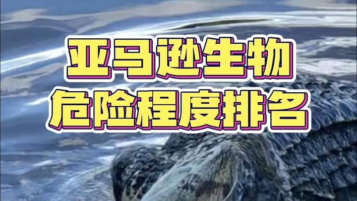 亚马逊动物危险排名！