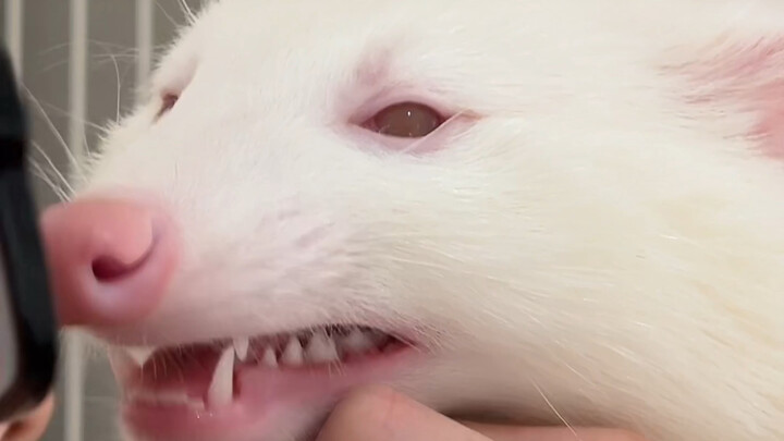 Did Kuroko realize he was wrong?