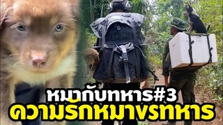 หมากับทหาร#3 ความแข็งกร้าวซ่อนความรักอ่อนไหว สุดซึ้งความรักทรหารกับหมา #ดูกี่ทีก็ซึ้ง
