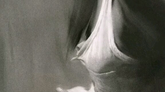 Học viên do thầy Lưu Bân đào tạo vẽ ra những tác phẩm đỉnh thật sự!!