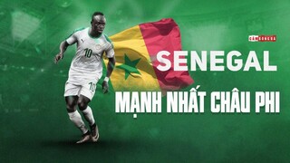 Giải mã sức mạnh đội tuyển SENEGAL - ỨNG CỬ VIÊN hàng đầu cho chức VÔ ĐỊCH CAN CUP 2021