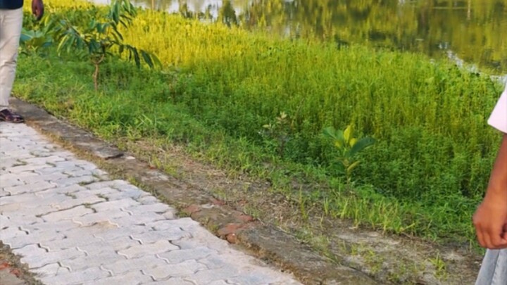 #कान के नीचे बजा देंगे#कॉमेडी वीडियो#फनी वीडियो#वायरल वीडियो#बिल्ली बिल्ली वायरल वीडियो#@&_
