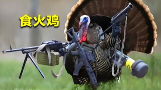 The world's most dangerous bird, naturally equipped with a deadly weapon—stay far away if you see on